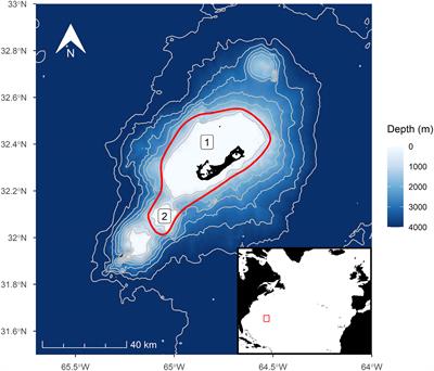 A decade of humpback whale abundance estimates at Bermuda, an oceanic migratory stopover site